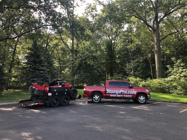 Stump PRO Llc