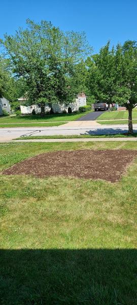 Stump PRO Llc