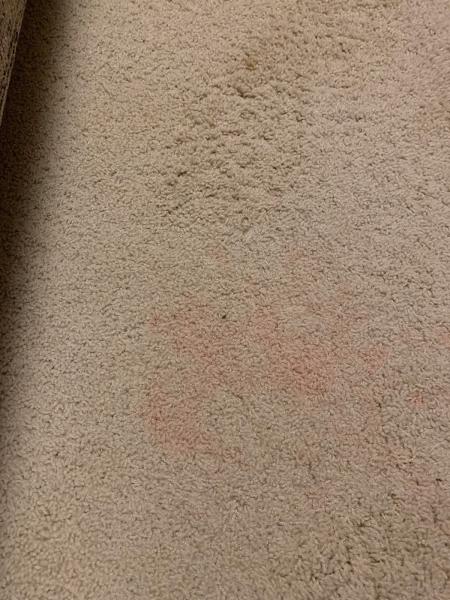 Complete Carpet Care