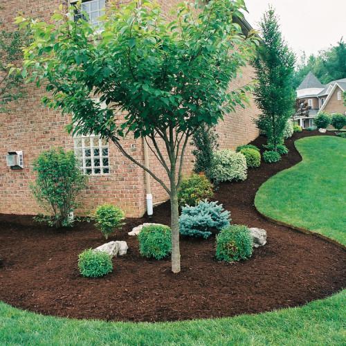 Artistic Landscape Design