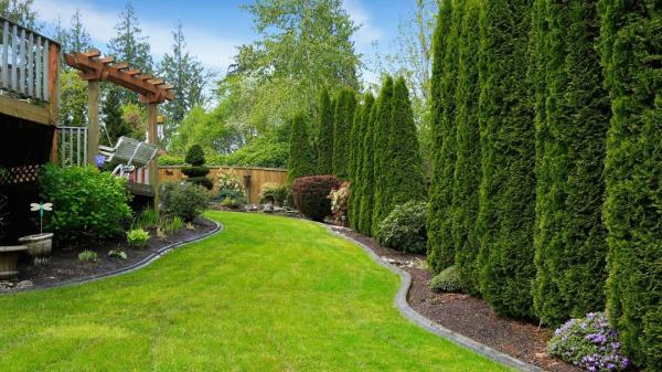 Nature Redesigned Landscaping