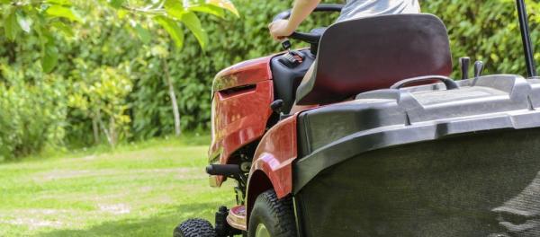 The Lawn Enforcement