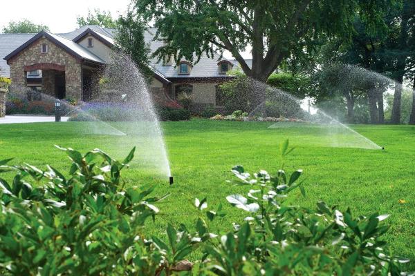 Sprinkler Solutions Irrigation