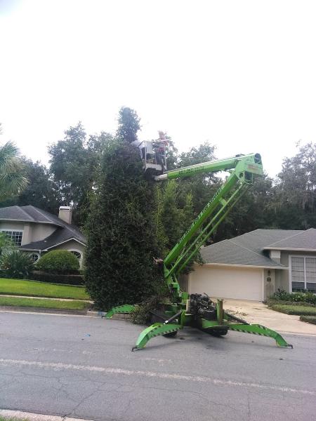 What About Bob's Tree Service