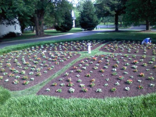 Capital Landscaping