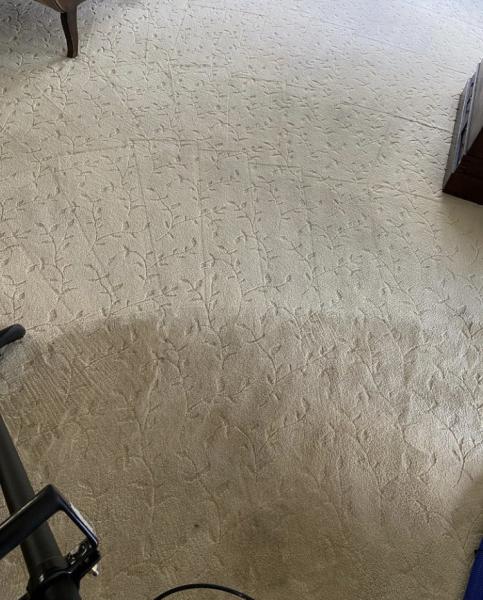 New Leaf Carpet and Upholstery Cleaning