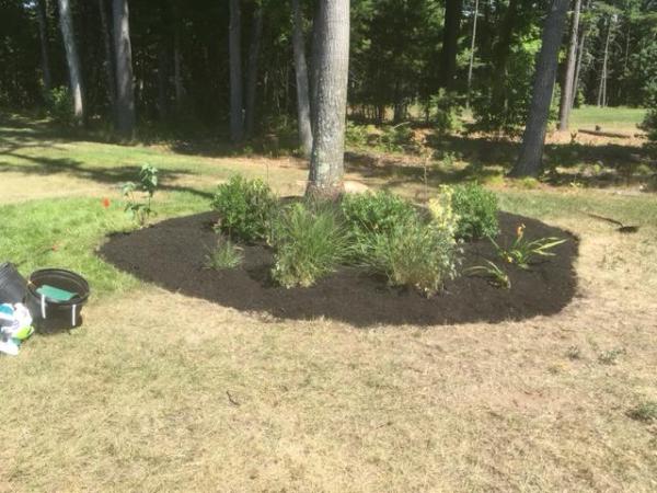 Alvarez Landscaping