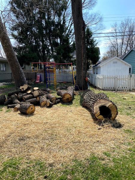 Applied Tree Services Llc