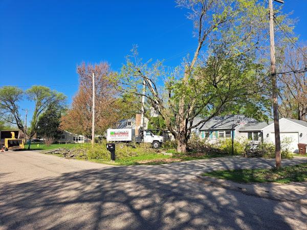 Olson Tree Service