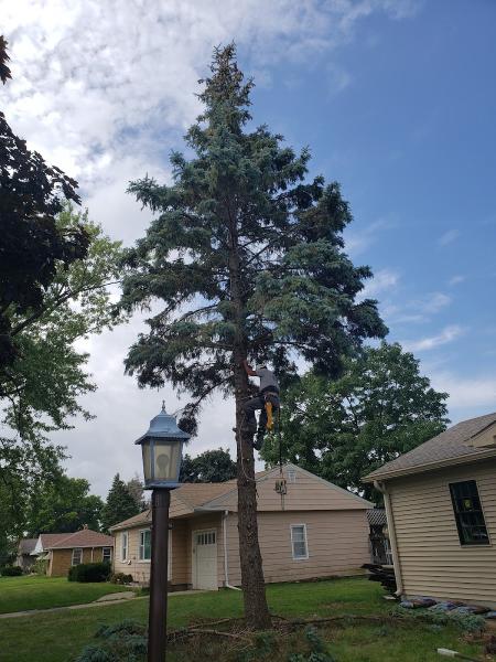 Olson Tree Service