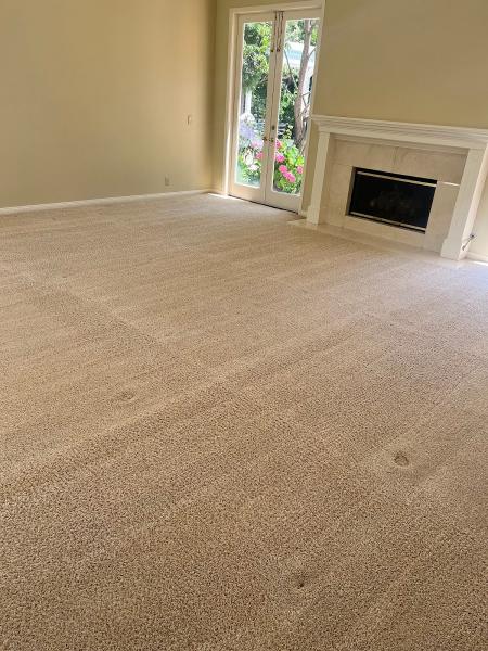Quikdry Carpet & Tile Cleaning