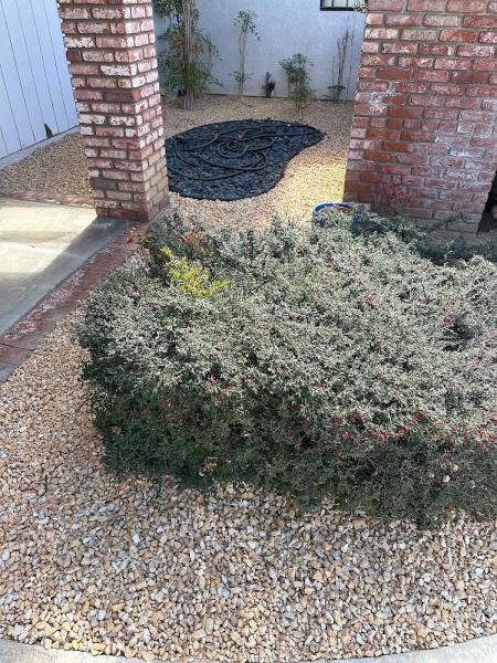 Estrada Landscaping