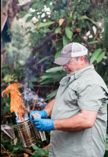 Beeman Stan Bee Removal