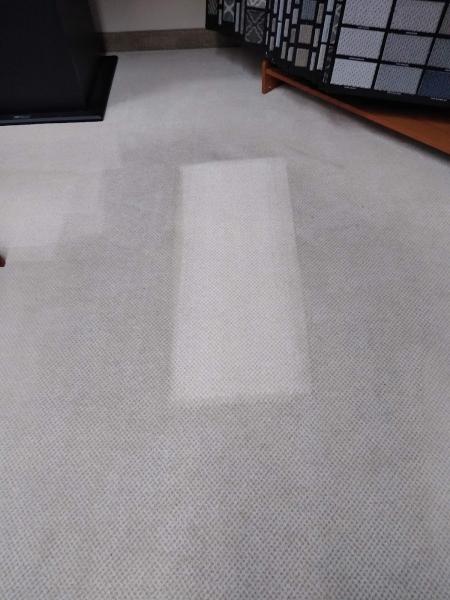 Superior Carpet & Upholstery Cleaning