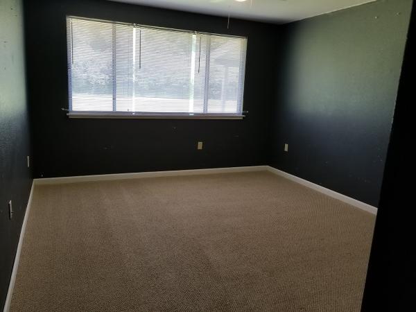 Premium Carpet and Rug Care