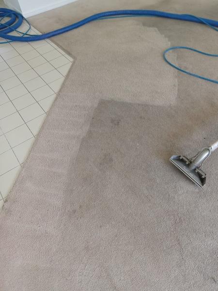 Dream Clean Orlando Carpet and Tile Grout Cleaning