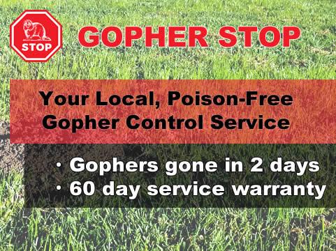 Gopher Stop