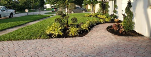 Evergreen Tree Trimming & Landscaping