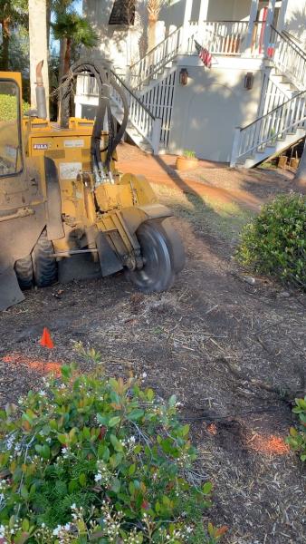 Al's Stump Grinding & Root Clearing