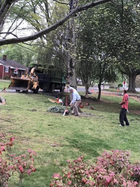 Puckett's Tree Service Cornelius