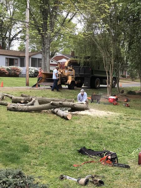Puckett's Tree Service Cornelius