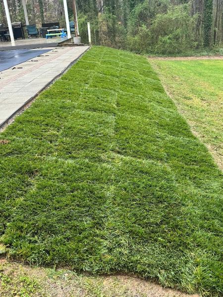 JP Lawn and Landscaping