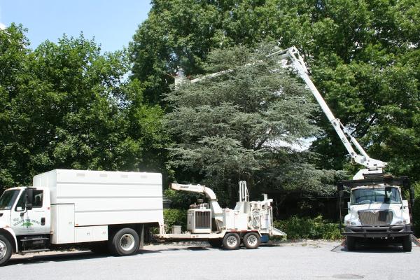 Musser's Tree Services