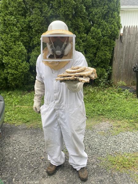 All Care Pest Control