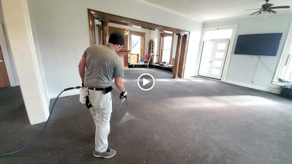 Healthy Carpets