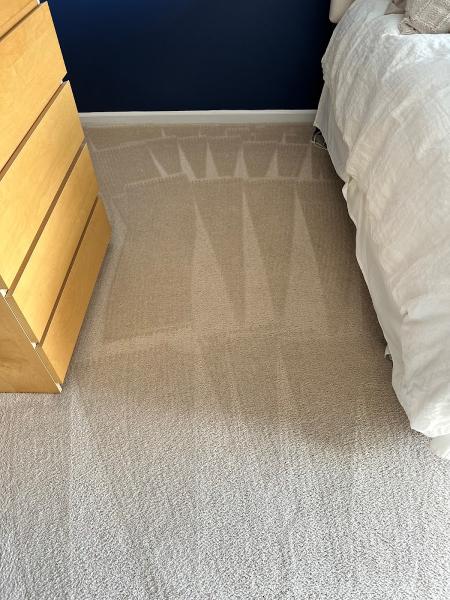 Healthy Carpets