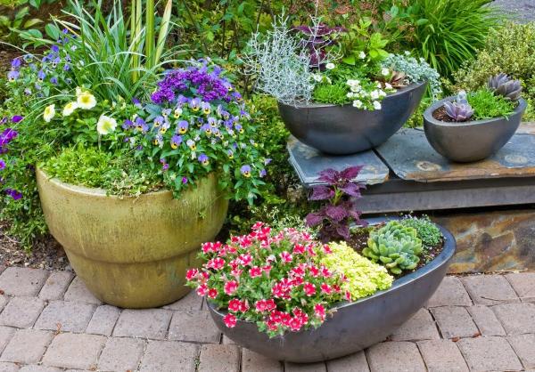 Barbara Safranek Landscape Design