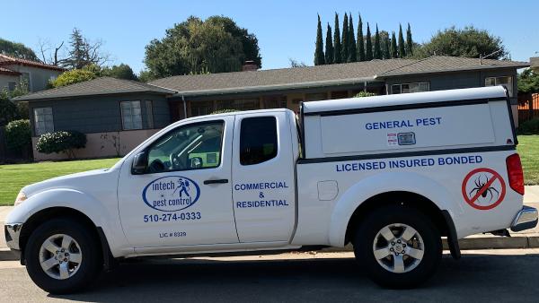 Intech Pest Control