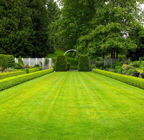 Garden Irrigation