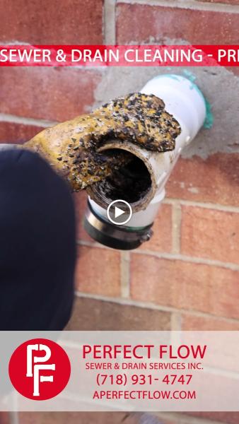 Perfect Flow Sewer & Drain Services