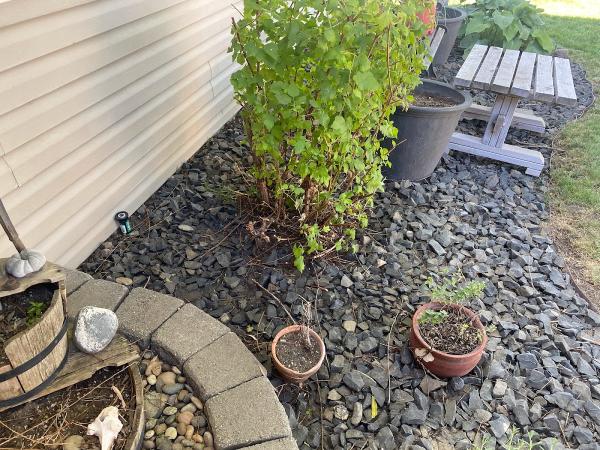 Heritage Professional Landscaping and Mantinance
