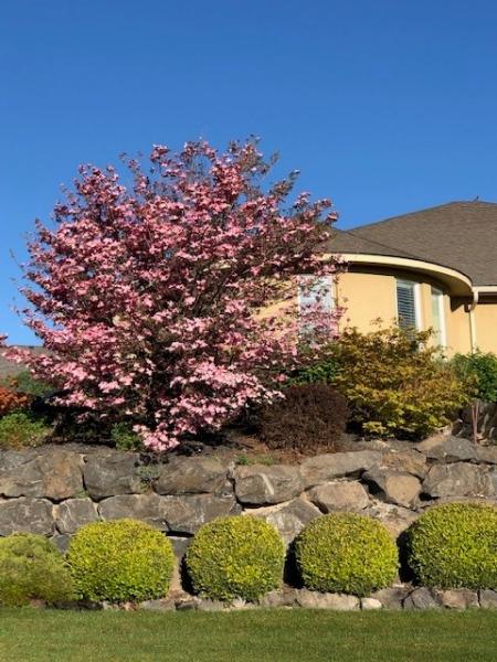 Heritage Professional Landscaping and Mantinance