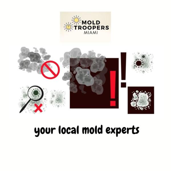 Mold Troopers