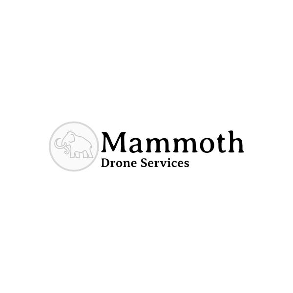 Mammoth Drone Services