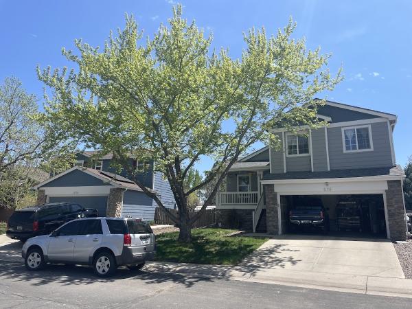 Willco Tree LLC
