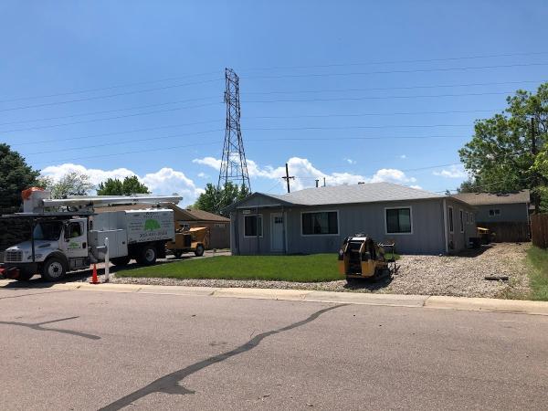 Willco Tree LLC