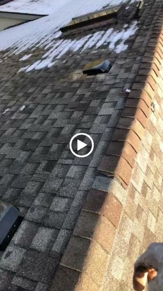Insulation Co