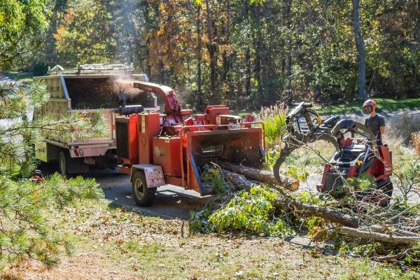Tree Fellers Inc Arbor Care