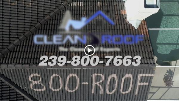 Clean Roof