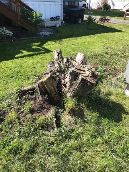 TBT Stump Grinding