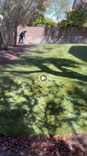 Ugarte Landscapes & Irrigation Repair