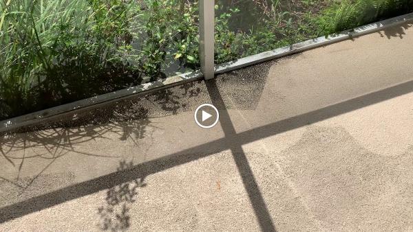 Elite Cleaning and Restoration