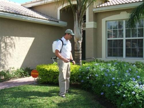Pest Control Chicago