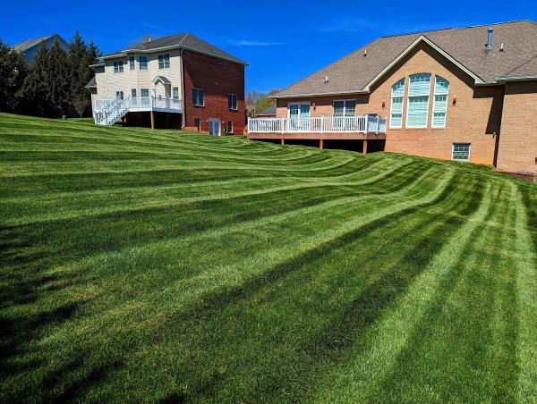Backyard Lawn & Landscape LLC
