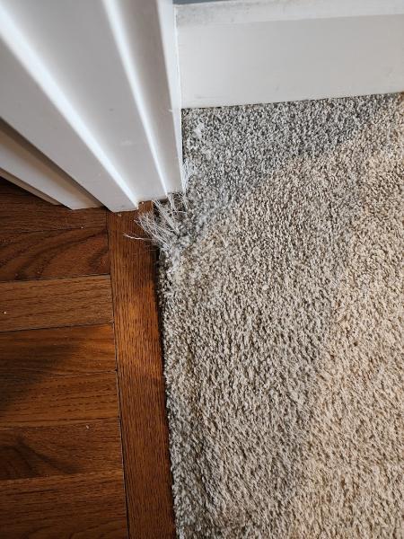 Indianapolis Carpet Repair