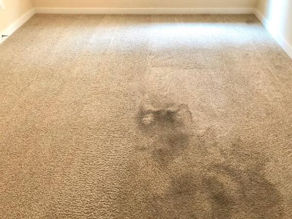Advanced Dry Carpet Care